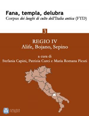 Cover of the book Fana, templa, delubra. Corpus dei luoghi di culto dell'Italia antica (FTD) - 3 by Cristina Ferrante, Jean-Claude Lacam, Daniela Quadrino