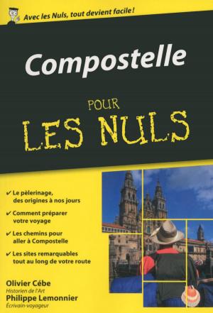 Cover of the book Compostelle Poche Pour les Nuls by Brigitte BAUDRILLER
