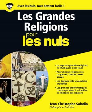 Cover of the book Les Grandes Religions Pour les Nuls by Gérard de CORTANZE