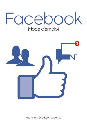 Cover of the book Facebook, mode d'emploi by Vincent RADUREAU, Mickaël GRALL