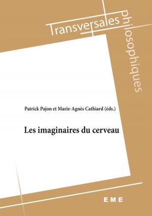 Cover of the book Les imaginaires du cerveau by Fred Dervin, Vasumathi Badrinathan (éd.)