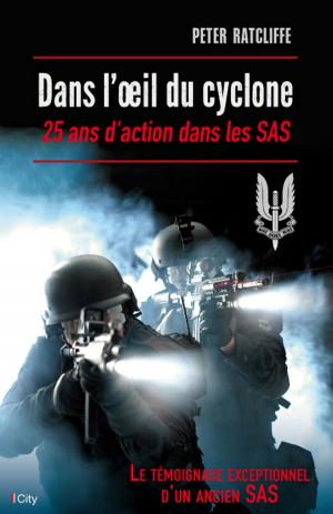 Cover of the book Dans l'oeil du cyclone by Cicéron