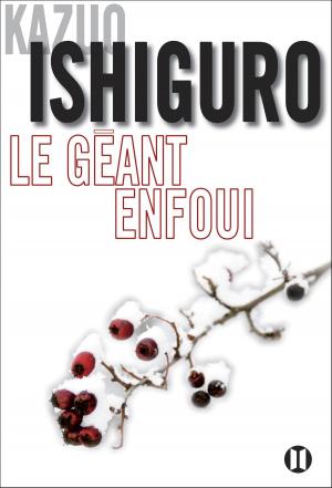 Book cover of Le géant enfoui