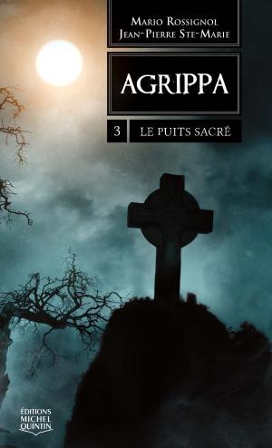 Book cover of Agrippa 3 - Le puits sacré