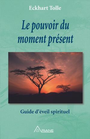 Cover of the book Le pouvoir du moment présent by Jenna Martins
