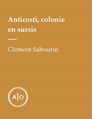 Cover of the book Anticosti, colonie en sursis by Sophie Bienvenu