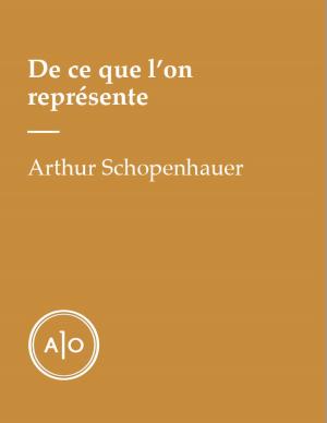 Cover of the book De ce que l'on représente by Olivier Choinière