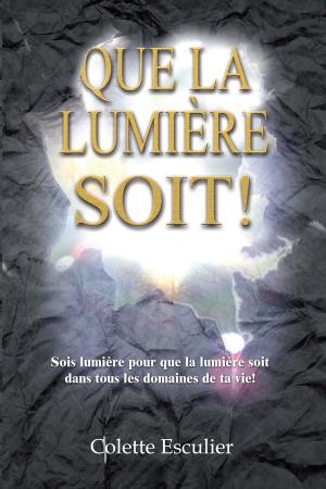 Cover of the book Que la Lumière soit ! by Nanako Mizushima