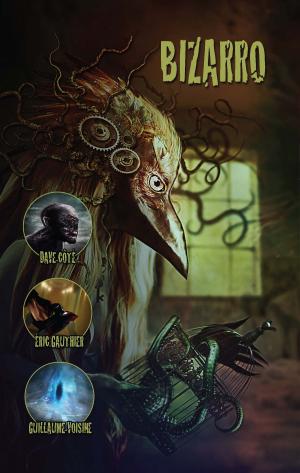 Cover of the book Bizarro by Amanda K. Dudley-Penn
