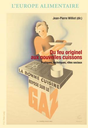 Cover of the book Du feu originel aux nouvelles cuissons by Patrycia Jakobczyk-Adamczyk