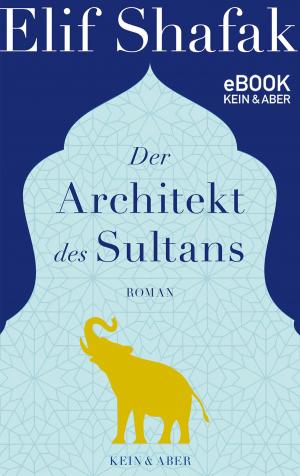 Cover of the book Der Architekt des Sultans by Mikael Krogerus, Roman Tschäppeler