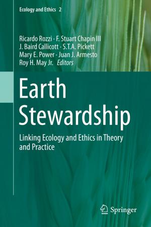 Cover of the book Earth Stewardship by Tamiru Alemu Lemma