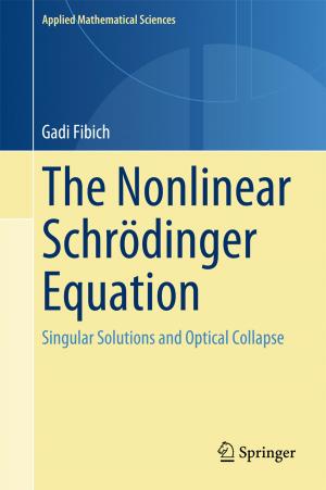 Cover of the book The Nonlinear Schrödinger Equation by Bree Hadley