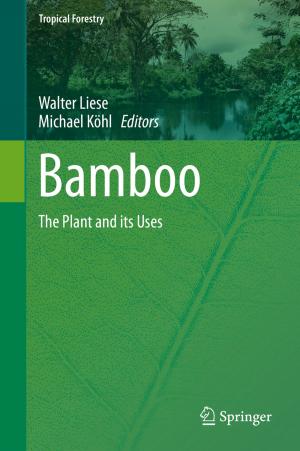 Cover of the book Bamboo by Joseph Migga Kizza