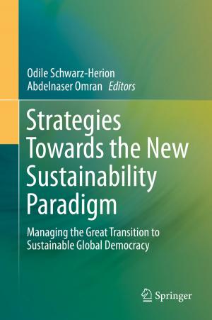 Cover of the book Strategies Towards the New Sustainability Paradigm by William G. Vandenberghe, Massimo V. Fischetti