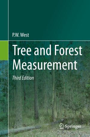Cover of the book Tree and Forest Measurement by Bo Rong, Xuesong Qiu, Michel Kadoch, Songlin Sun, Wenjing Li