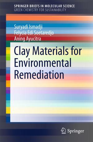 Cover of the book Clay Materials for Environmental Remediation by Sandra Häuplik-Meusburger, Olga Bannova