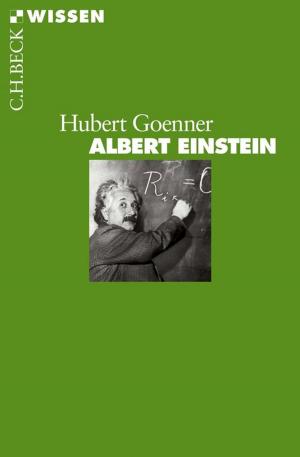 Cover of the book Albert Einstein by Bernhard Viel