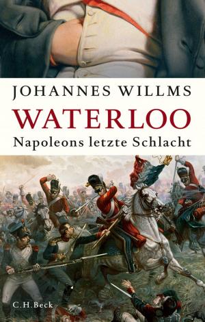 Cover of the book Waterloo by Stephan Bierling