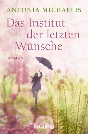Book cover of Das Institut der letzten Wünsche