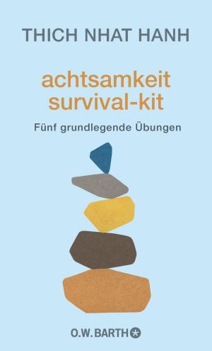 Book cover of Achtsamkeit Survival-Kit