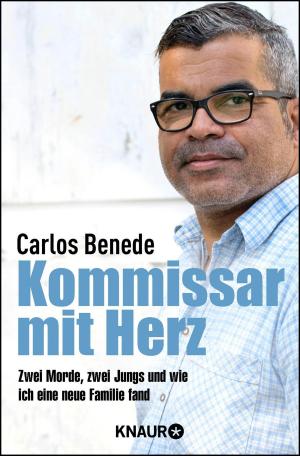 Cover of the book Kommissar mit Herz by Harald Gilbers