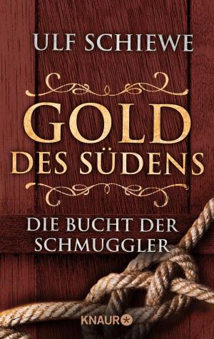Book cover of Gold des Südens 3
