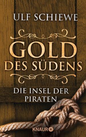 Book cover of Gold des Südens 5