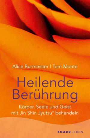 Cover of the book Heilende Berührung by Andreas Franz, Daniel Holbe