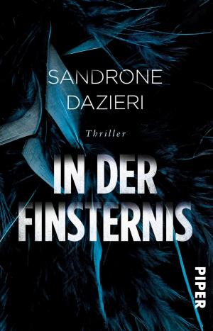 Cover of the book In der Finsternis by Jennifer Estep