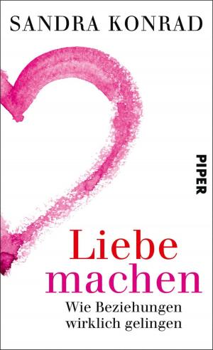 Cover of the book Liebe machen by Franz Alt, Brigitte Alt