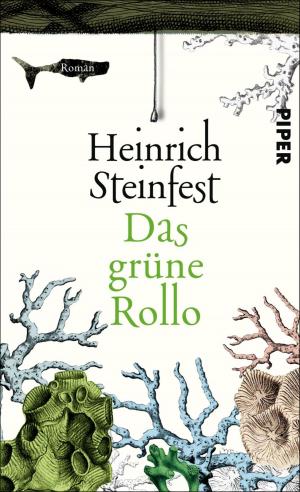 Cover of the book Das grüne Rollo by Robert B. Laughlin