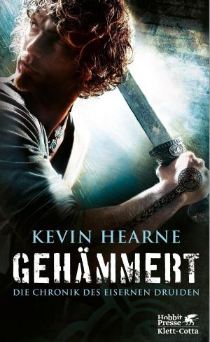 Cover of the book Gehämmert by Barbara Vinken