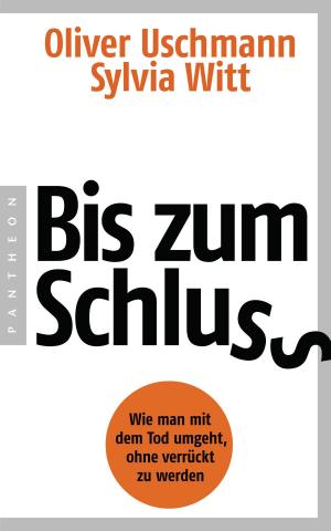 Cover of the book Bis zum Schluss by Christian Meier