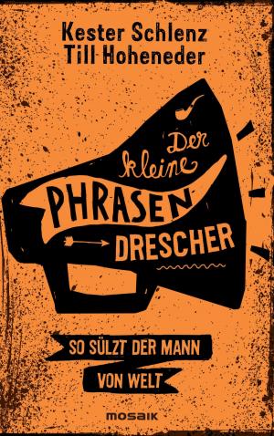 Cover of the book Der kleine Phrasendrescher by Kester Schlenz
