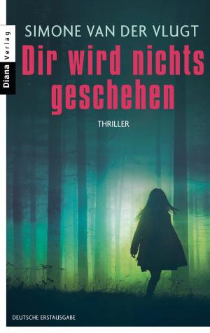 Cover of the book Dir wird nichts geschehen by Brigitte Riebe