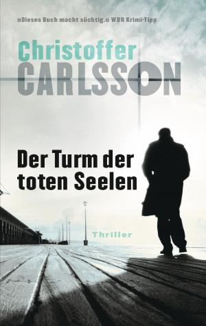 Cover of the book Der Turm der toten Seelen by Thomas Schmid