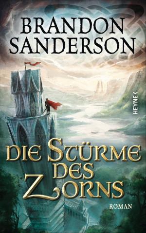 Cover of the book Die Stürme des Zorns by Roger Zelazny