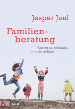 Cover of the book Familienberatung by Ina Rudolph