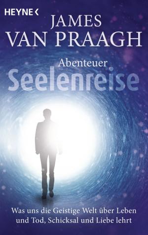 Cover of the book Abenteuer Seelenreise by Iris Treppner
