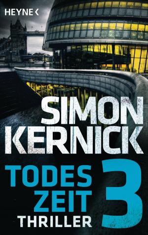 Cover of the book Todeszeit 3 by Robert Ludlum