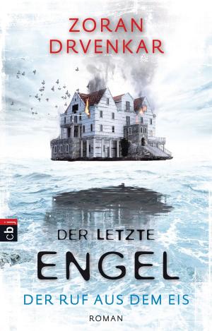 Book cover of Der letzte Engel - Der Ruf aus dem Eis