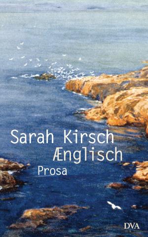 Cover of the book Ænglisch by Christopher Clark