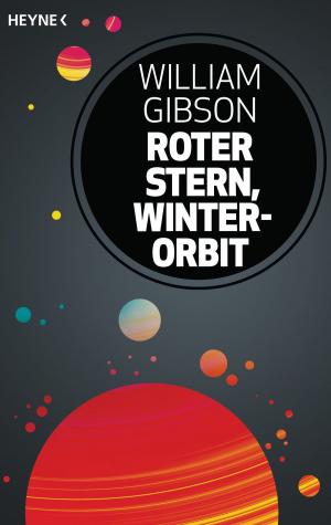 Book cover of Roter Stern, Winterorbit