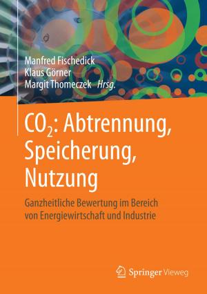 Cover of the book CO2: Abtrennung, Speicherung, Nutzung by Helmut Satz