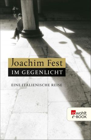 Cover of the book Im Gegenlicht by Eduardo Escobar