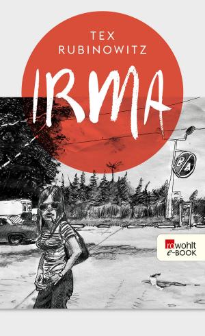 Cover of the book Irma by Fernando Aramburu