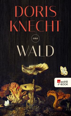Cover of the book Wald by Timo Ameruoso