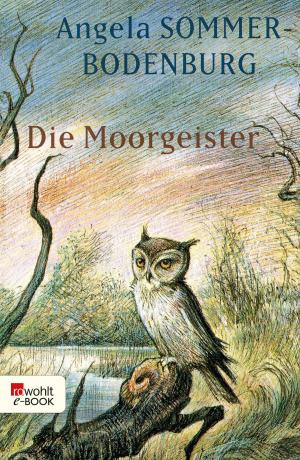 Book cover of Die Moorgeister