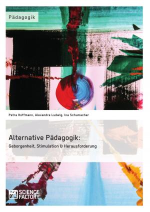 Cover of the book Alternative Pädagogik: Geborgenheit, Stimulation & Herausforderung by Gerhard Paleczny, Katrin Wissentz, Robert Winter, Alexander Thurm, Maria Hesse, Sebastian Wagner